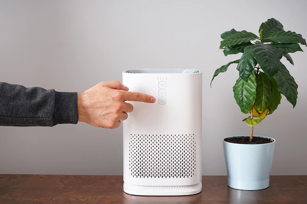 Thinking of buying an air purifier? Here’s what you need to know 1 I