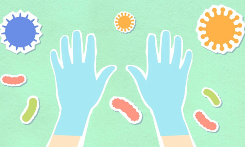 Bacteria