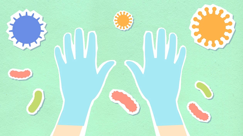 Bacteria