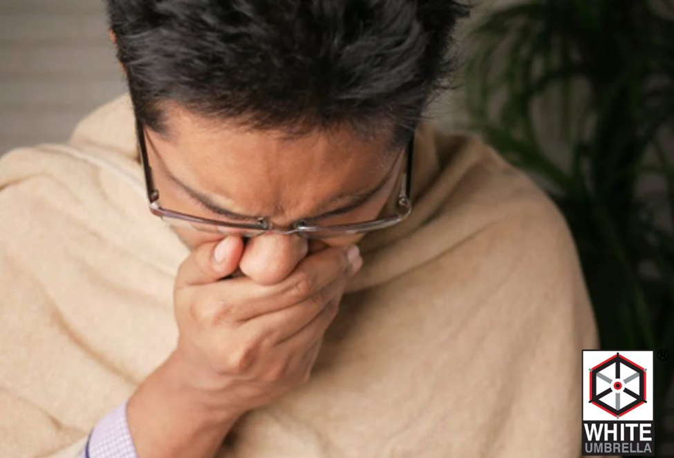 Indoor air quality facts that you should know about 3 image 3